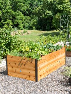 a large wooden planter filled with lots of green plants next to a lush green forest