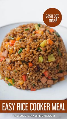 easy rice cooker meal on a white plate