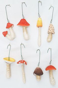 several different types of mushrooms hanging from hooks