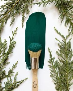 a paintbrush with green bristles on it sitting next to evergreen branches and pine cones