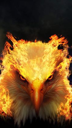 an eagle's head is shown in flames