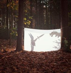 an image of a person holding a bird in the woods with trees and leaves surrounding it