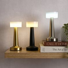 three lamps sitting on top of a wooden shelf next to a book and potted plant