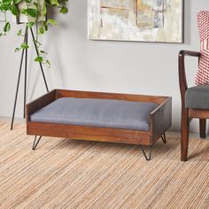 a dog bed sitting on top of a rug next to a chair and potted plant