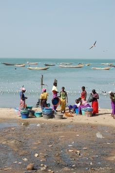 several people are standing on the beach with buckets and containers in front of them