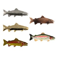 four different types of fish on a white background