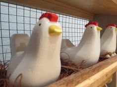 four white chickens sitting in a nest on top of a wooden shelf next to each other