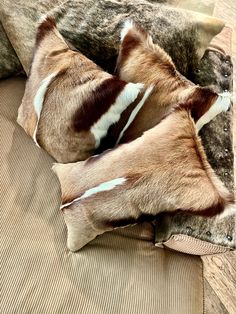 two brown and white pillows sitting on top of a couch