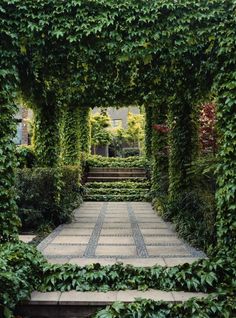 an archway covered in green ivy next to steps