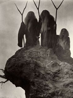 three women sitting on top of a rock with trees growing out of the rocks in front of them