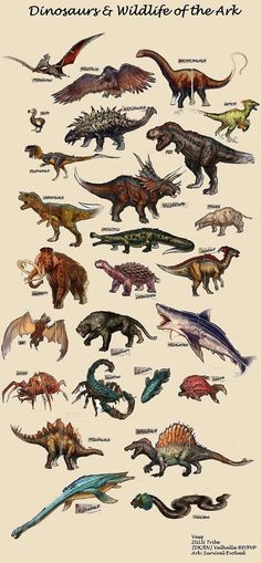 an image of dinosaurs that are all different colors and sizes, with the words'dinosaur & wildlife of the ark'above them