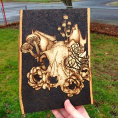 Tis another skull 

#woodburning #pyrography #art #wood #stippling #goblincore Goblin Core, Stippling