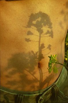 the back of a person's stomach with a tree shadow on it