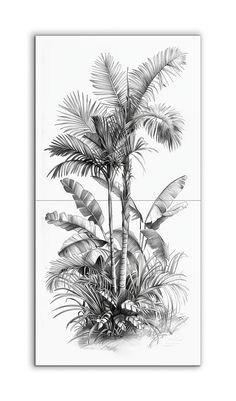 a black and white drawing of a palm tree in the middle of some plants on a wall