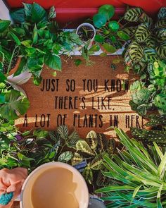 a cup of coffee sitting on top of a table next to plants