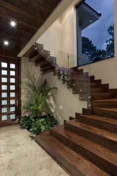 the stairs in this modern home are made of wood and glass, with an indoor planter below