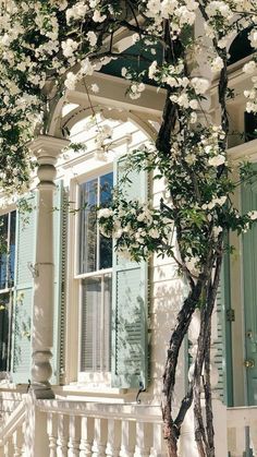 a tree with white flowers in front of a blue and white house on a sunny day