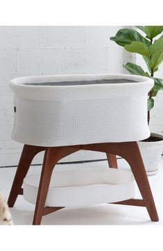 a potted plant sitting on top of a wooden stand next to a white brick wall