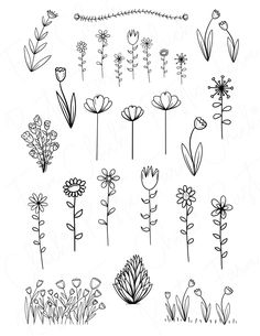 the flowers are drawn in black and white