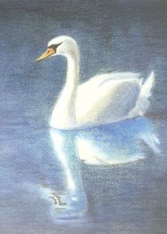 a drawing of a white swan swimming in the water