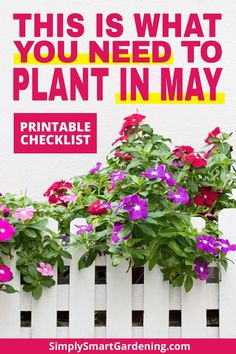 purple and pink pansies in a white fence with the words, this is what you need to plant in may printable checklist