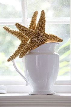 two starfishs are sitting in a white cup on a windowsill next to a window sill