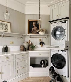 a dog sitting in front of a washer and dryer inside of a kitchen