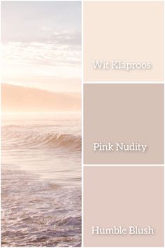 the color scheme for pink nudisty, humble blush and wit kappoos