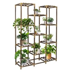 a wooden shelf filled with potted plants