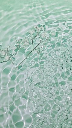 the water is very blue and green with bubbles on it's surface, as well as small flowers