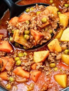 a pot filled with meat and vegetables next to a ladle full of soup in it