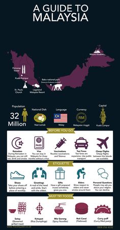 an info poster showing the different types of aircrafts and their locations in malaysia, asia