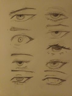 a bunch of different types of eyes drawn in pencil