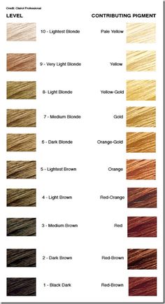 Level system Level 8 Hair Color, Bleaching Hair, At Home Hair Color