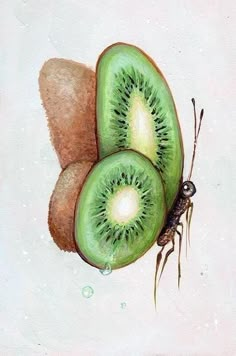 two kiwis cut in half on top of each other