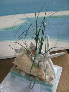 an arrangement of seashells and sea grass on a tray