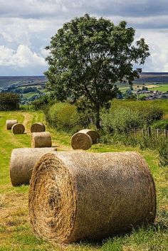 hay bales on the side of a dirt road near a tree and grassy field