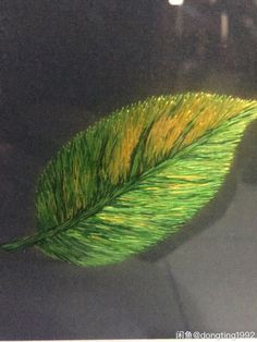 a green leaf with yellow streaks on it's end sitting in the back seat of a car