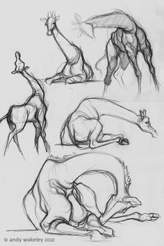 some drawings of giraffes laying down on the ground