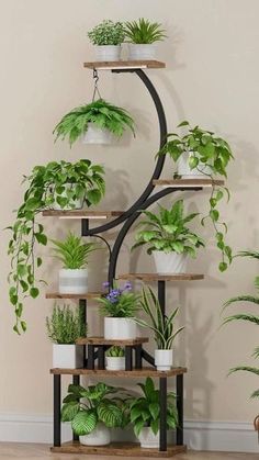 Plant stand decorations