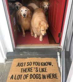 three dogs are standing in the door to their house and one is looking at the camera