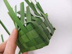 someone is holding some green grass in their hand and it looks like they are weaving together