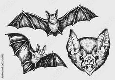 Bat Illustration, Gothic Tattoos, Star Wars History, Bat Tattoo, Wicked Tattoos, Gothic Tattoo, Notes Art, Creative Drawing Prompts, Dark Art Drawings