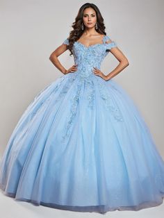 Sky_Blue Glitter Fabric Dress, Princess Quinceanera Dress, Ball Gown Princess, Ball Gown Silhouette, Bridesmaid Dresses Satin, Bridesmaid Dresses Dusty Sage, Gown Silhouette, Floral Bridesmaid Dresses, Sequin Bridesmaid