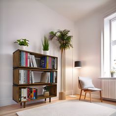 a living room with bookshelf, chair and potted plant