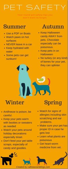 a poster with different types of dogs and cats on it's side, including the words pet safety