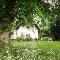 a small white house sitting in the middle of a lush green field next to a tree