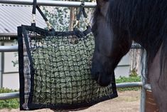 a black horse standing next to a metal fence with a green bag on it's back