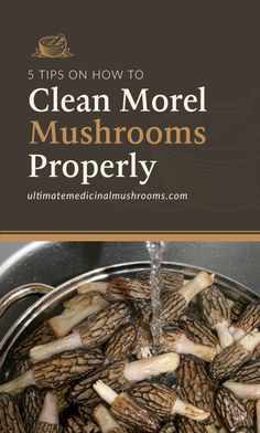 mushrooms in a pan with the title 5 tips on how to clean more mushrooms properly