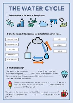 the water cycle worksheet is shown in this graphic style, and contains information about how to use it